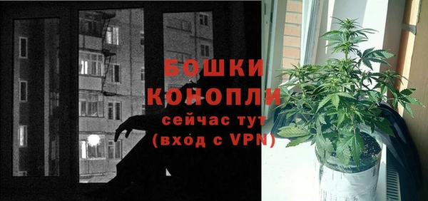 амф Белокуриха